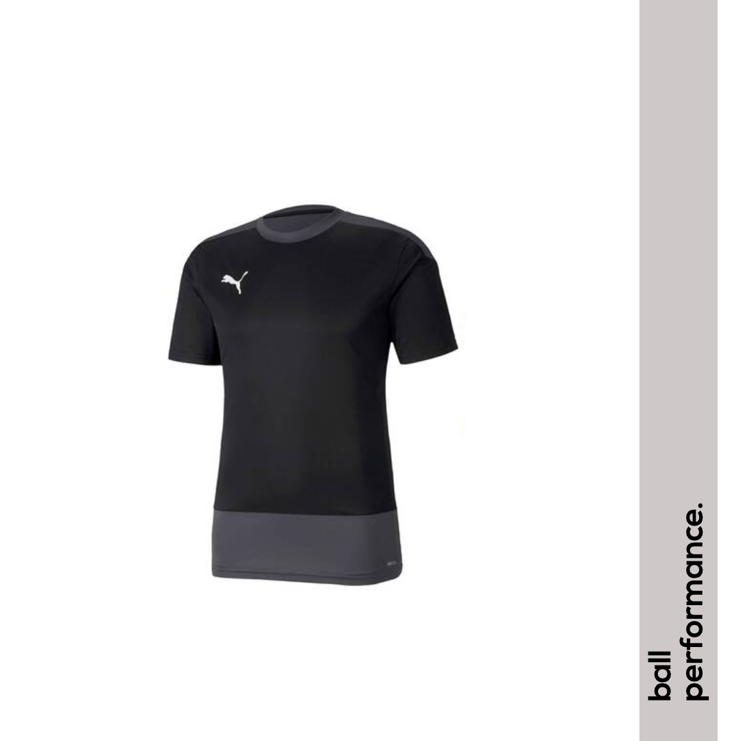 Puma TeamGoal 23 Training Jersey Herren
