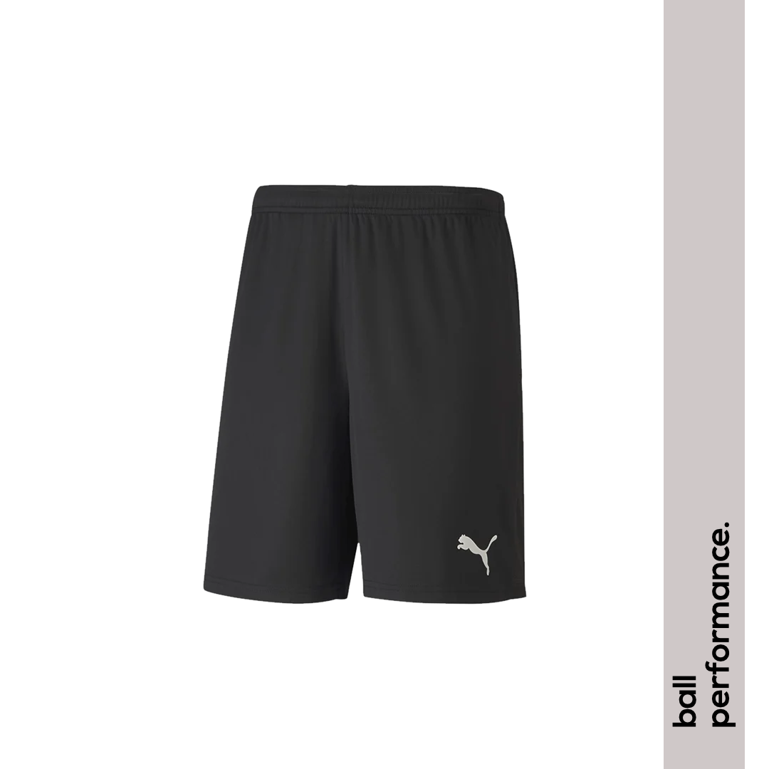 Puma teamGoal 23 knit Short