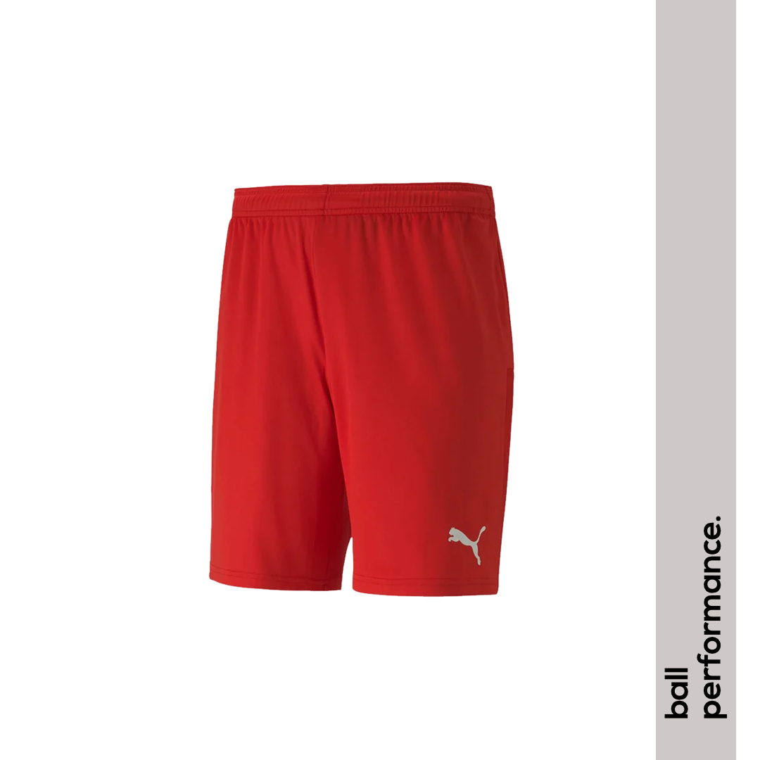 Puma teamGoal 23 knit Short