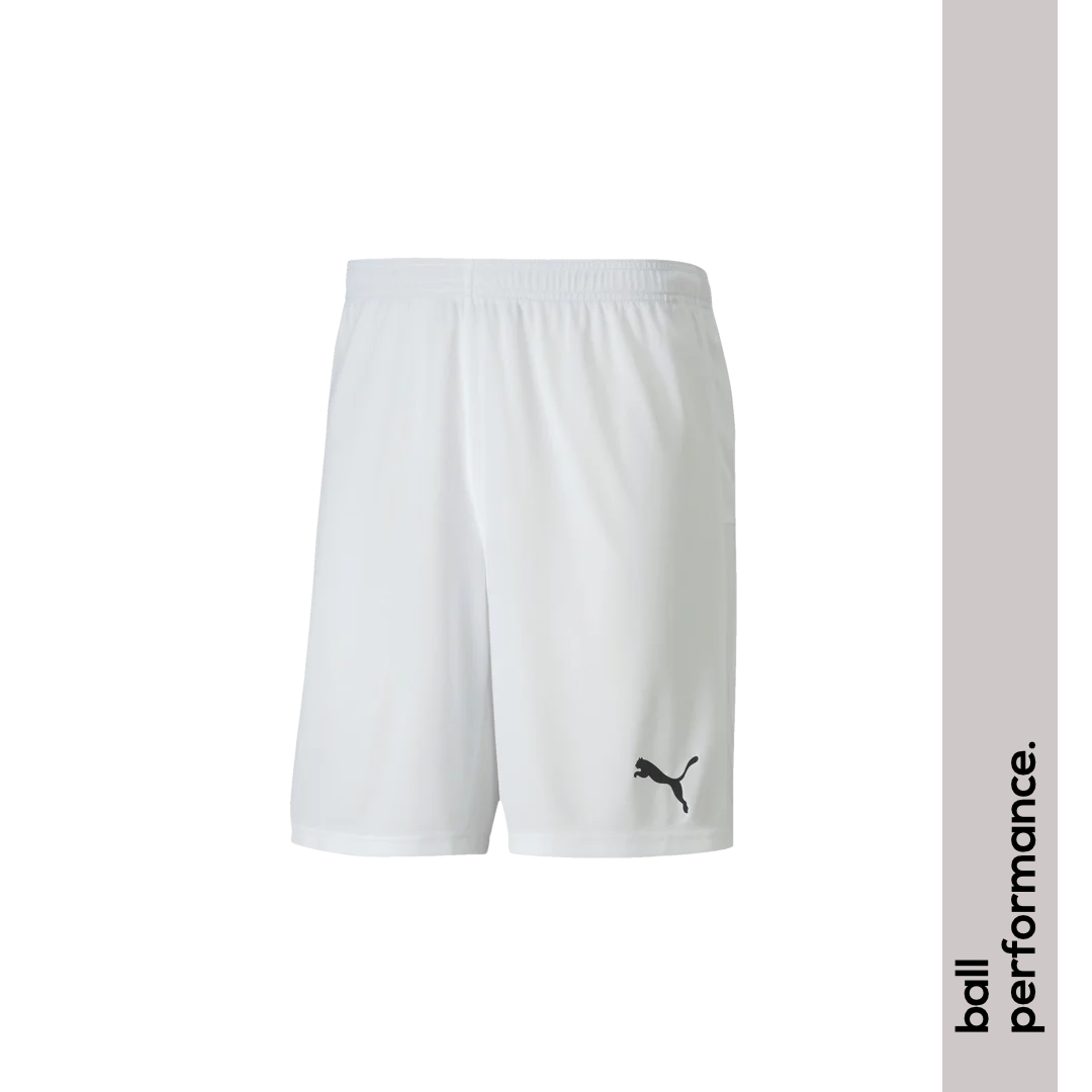 Puma teamGoal 23 knit Short